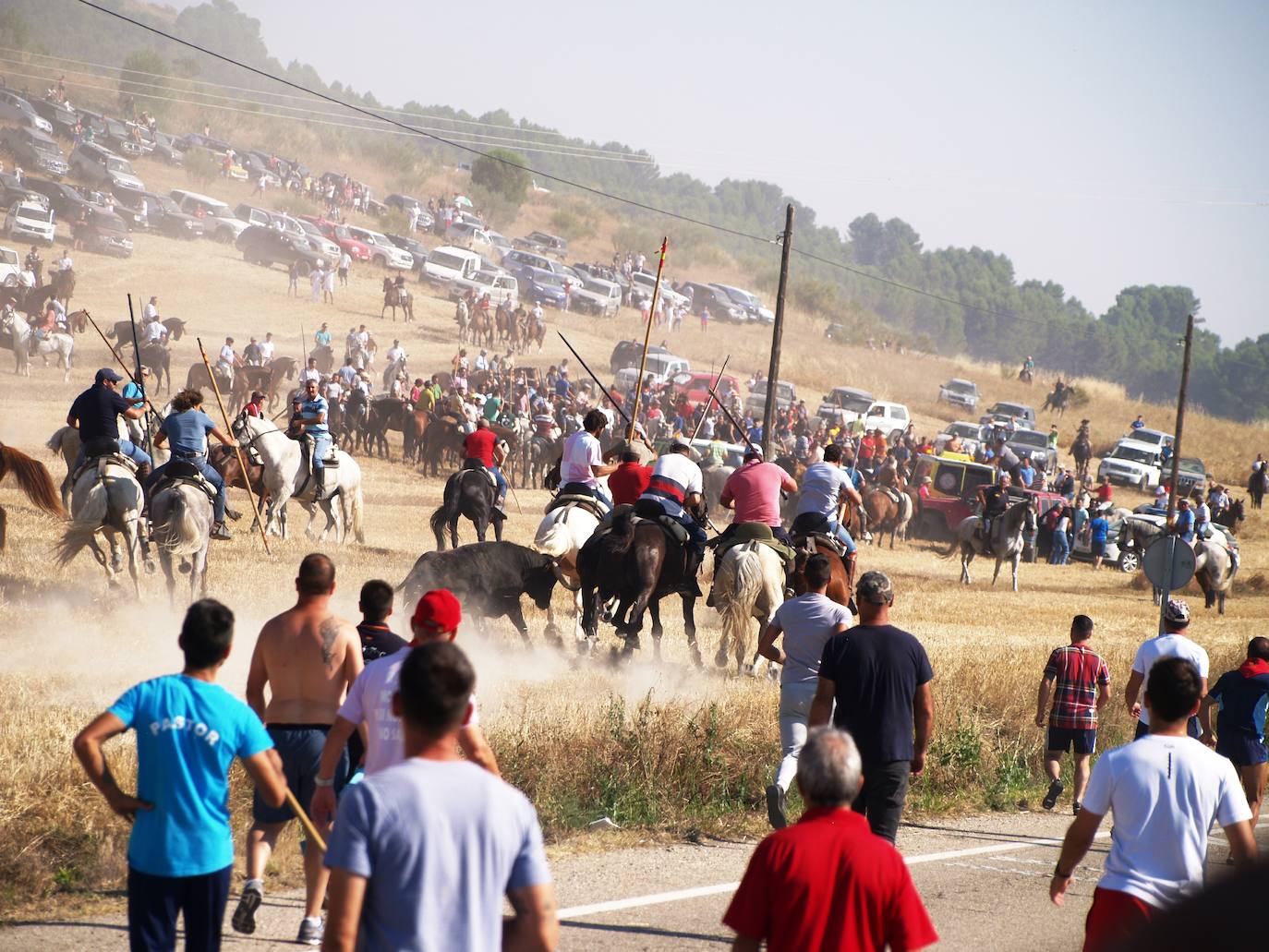 El encierro campero en Íscar, en imágenes