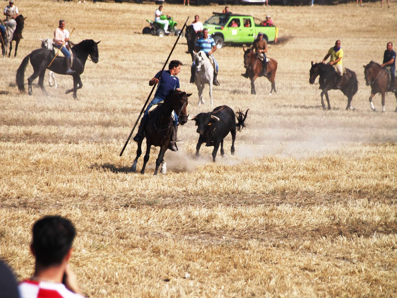 El encierro campero en Íscar, en imágenes