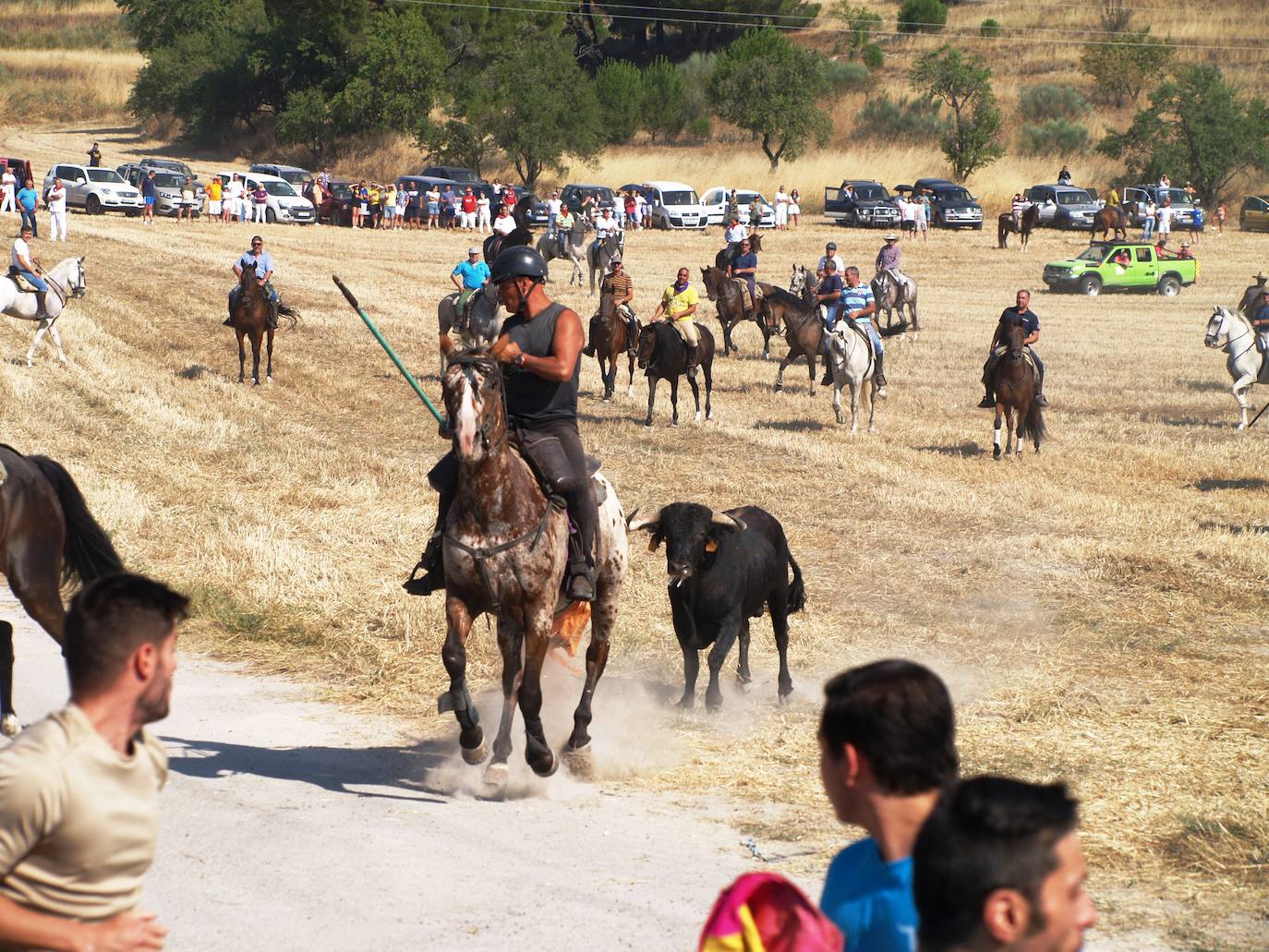 El encierro campero en Íscar, en imágenes
