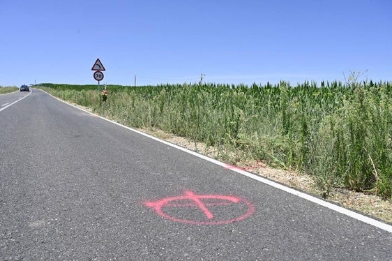 Lugar del accidente, en el kilómetro 3.300 de la ZA-V-2102, marcado en rojo.