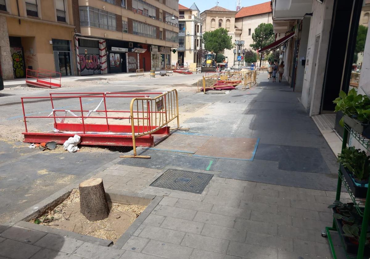 Tala de árboles en la calle Padilla, en julio del año pasado.