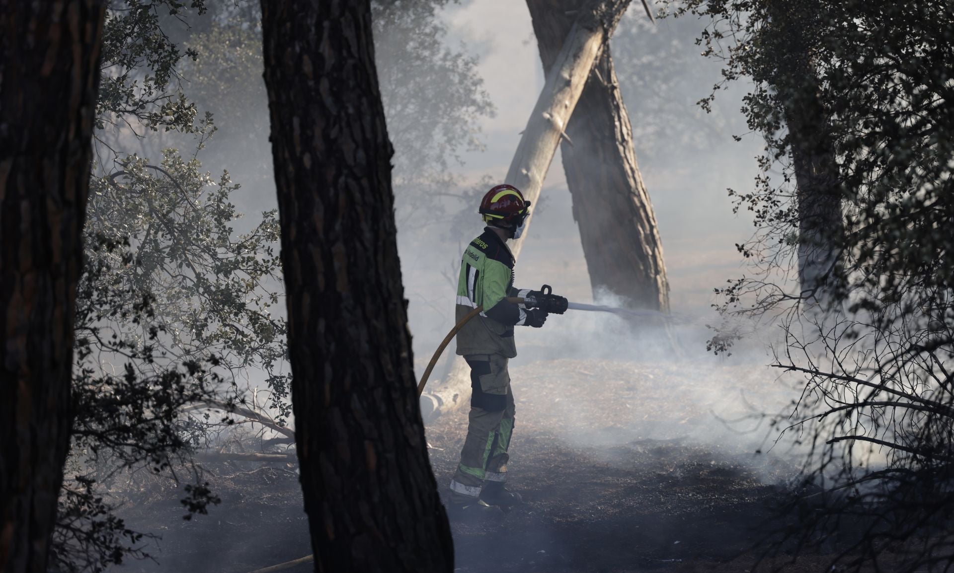 El nuevo incendio en Pinar de Jalón, en imágenes