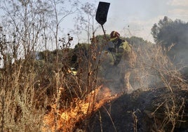 Bombero sofoca el incendio en Pinar de Jalón