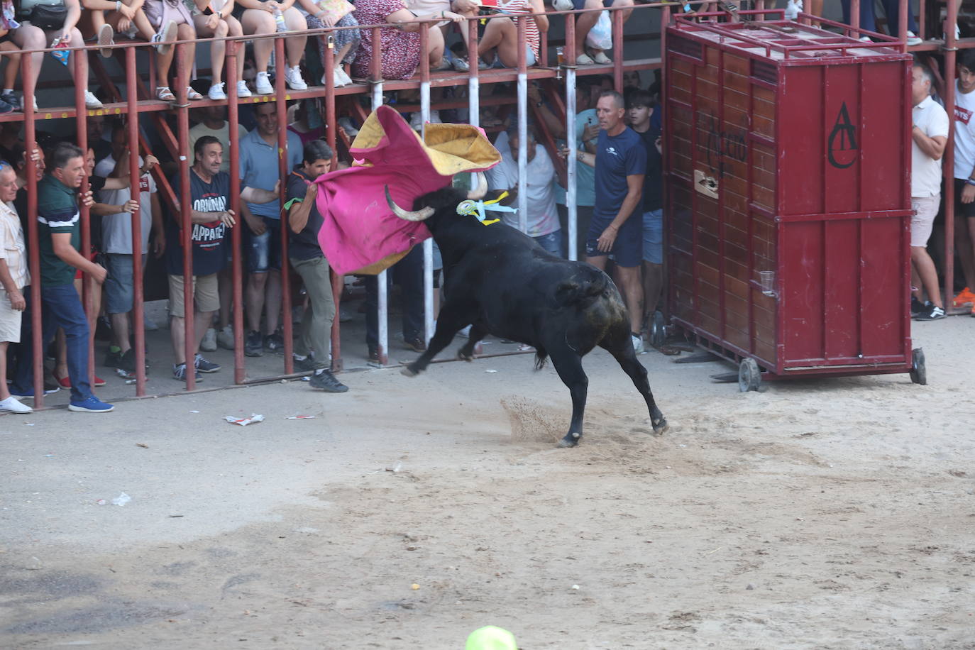 Los festejos taurinos de Castrejón de Trabancos, en imágenes