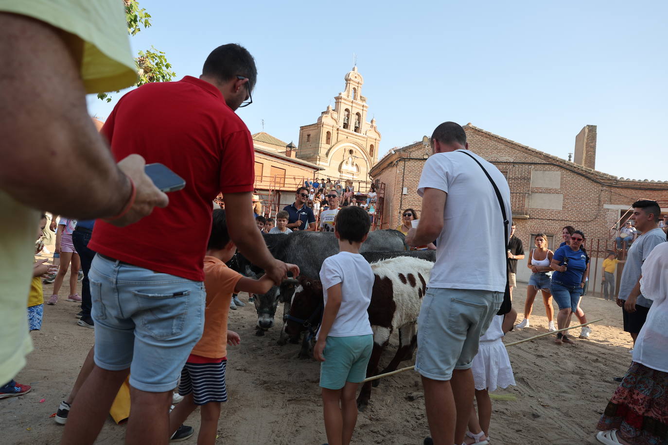 Los festejos taurinos de Castrejón de Trabancos, en imágenes