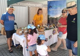 Uno de los puestos del mercado artesanal de Becilla de Valderaduey, este sábado.