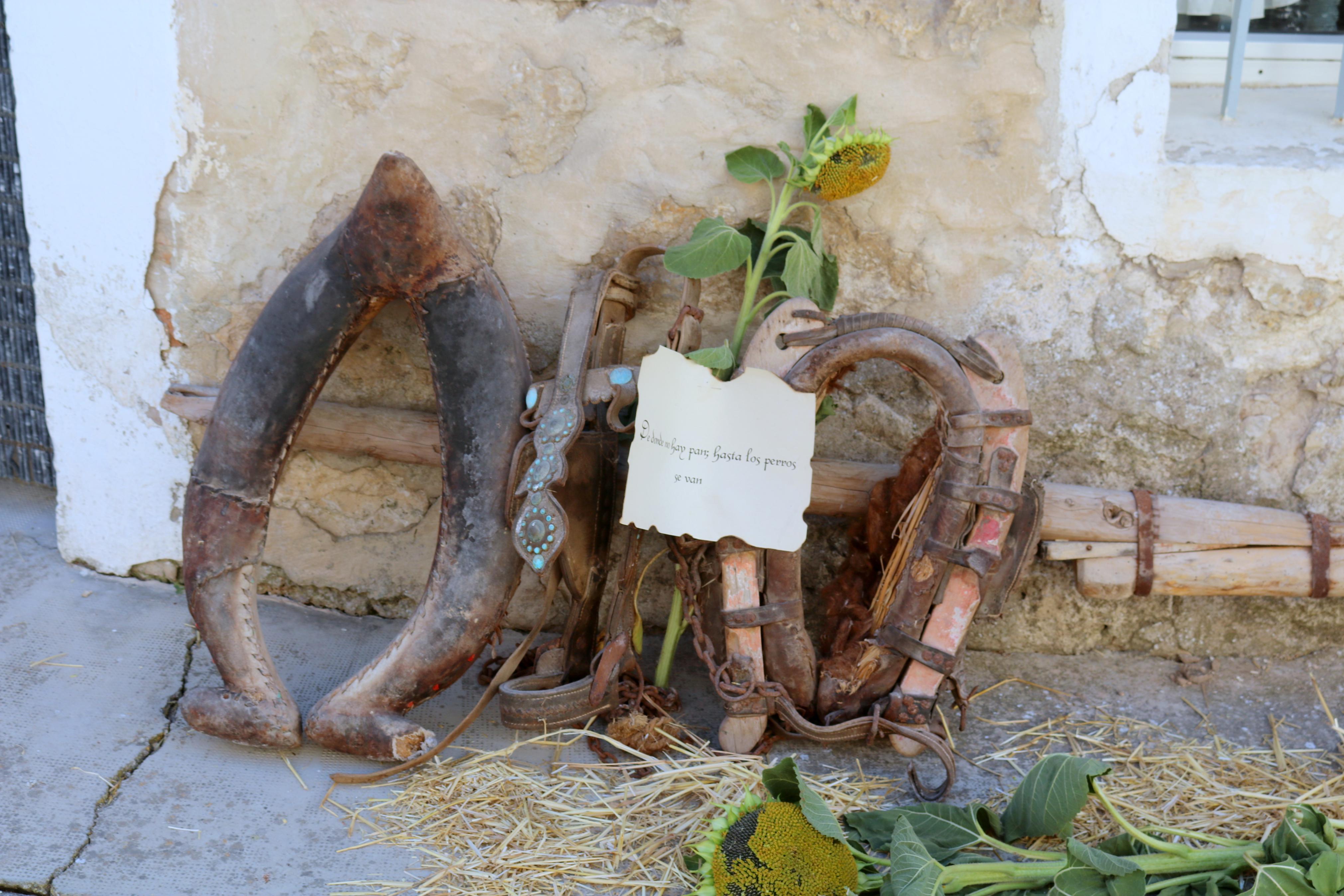 VI Feria del Pan de Cobos de Cerrato