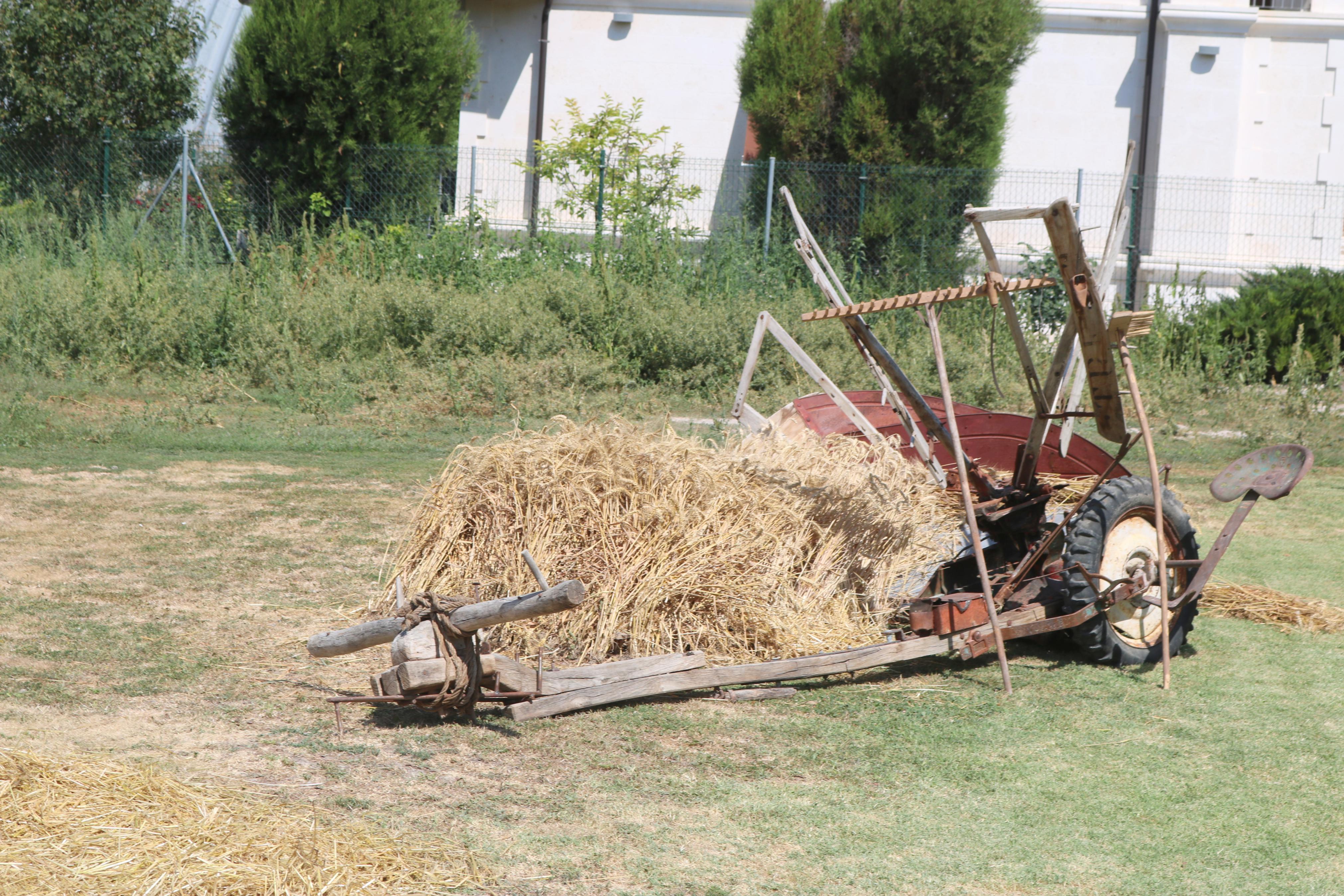 VI Feria del Pan de Cobos de Cerrato