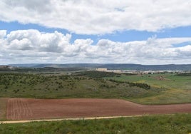 Ladera que acogerá el campo de tiro.