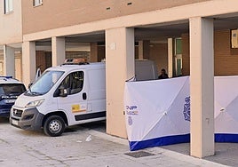 Servicios forenses y Policía Nacional este lunes en la calle Sisón.