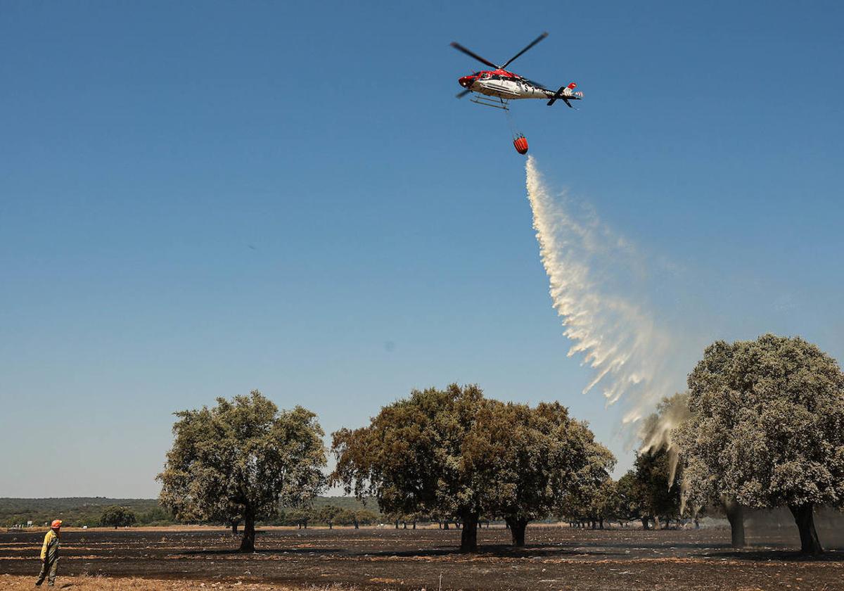 Operativo para sofocar un incendio forestal en Castilla y León, este martes.