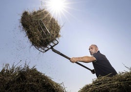 Balada triste de Tierra de Campos