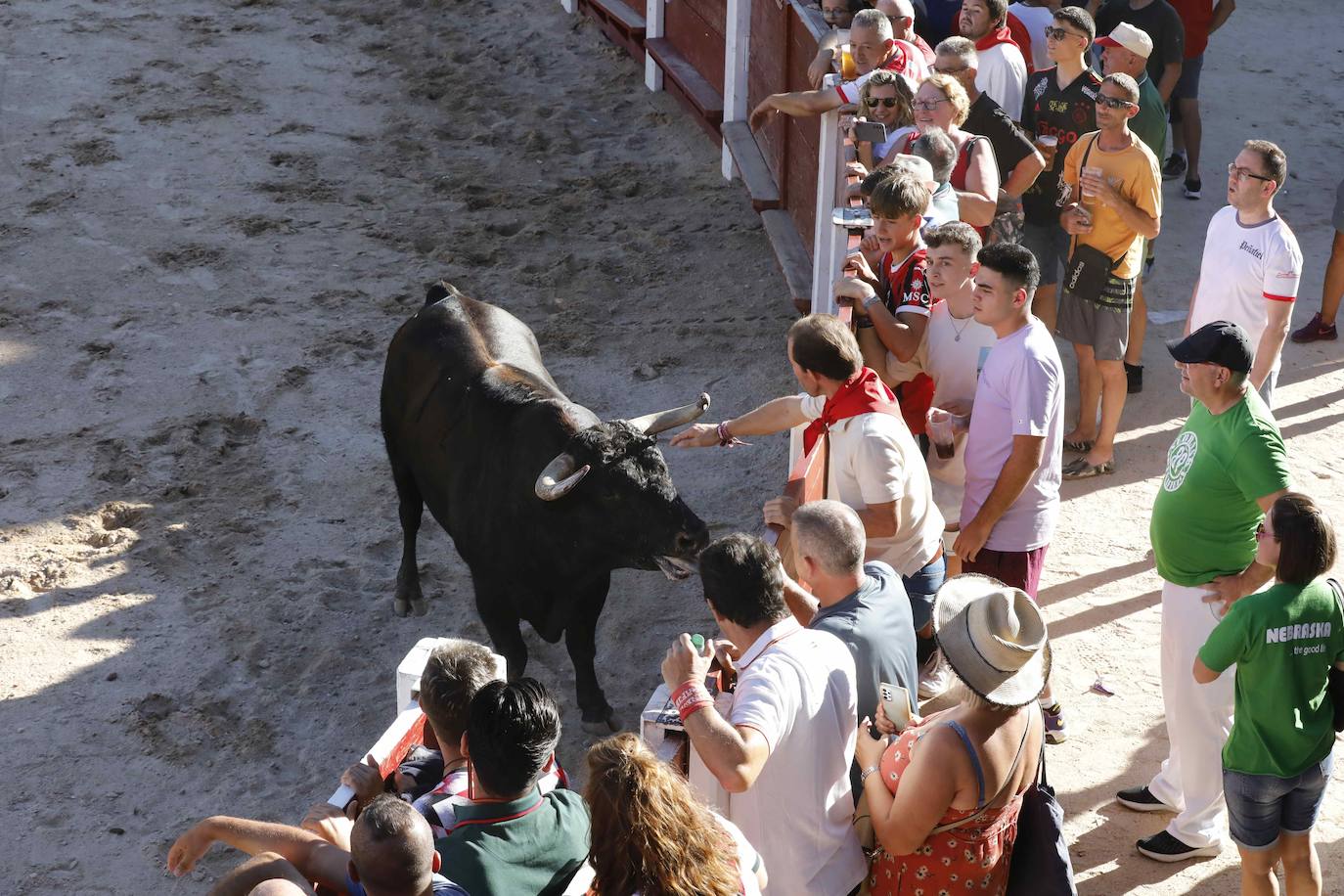 Entretenimiento y espectáculo para inaugurar la fiesta de Peñafiel