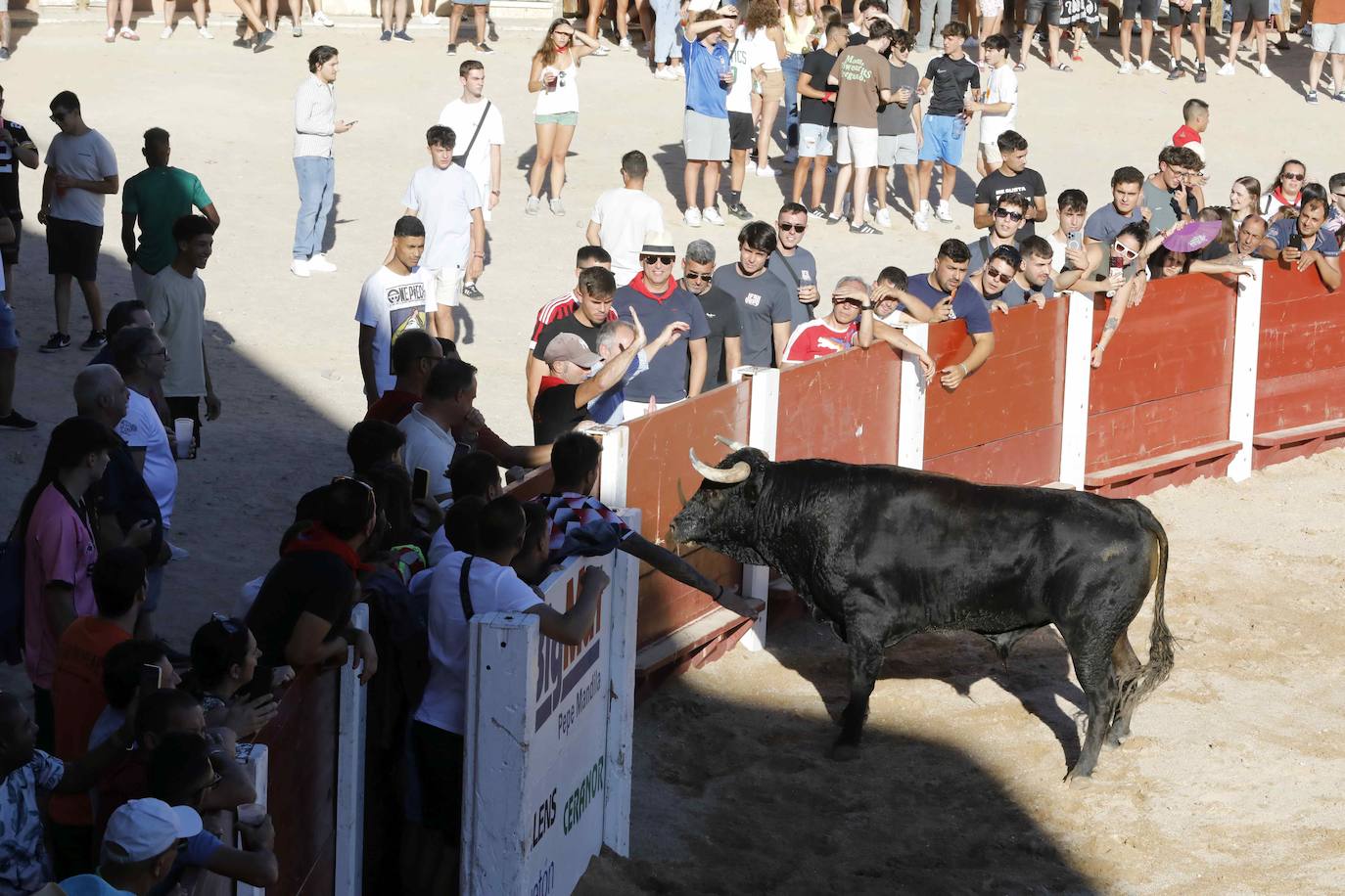 Entretenimiento y espectáculo para inaugurar la fiesta de Peñafiel