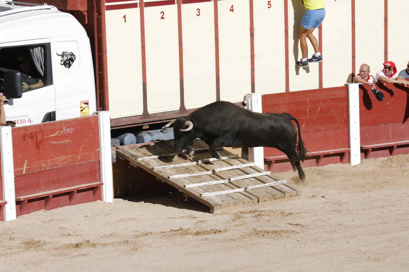 Entretenimiento y espectáculo para inaugurar la fiesta de Peñafiel