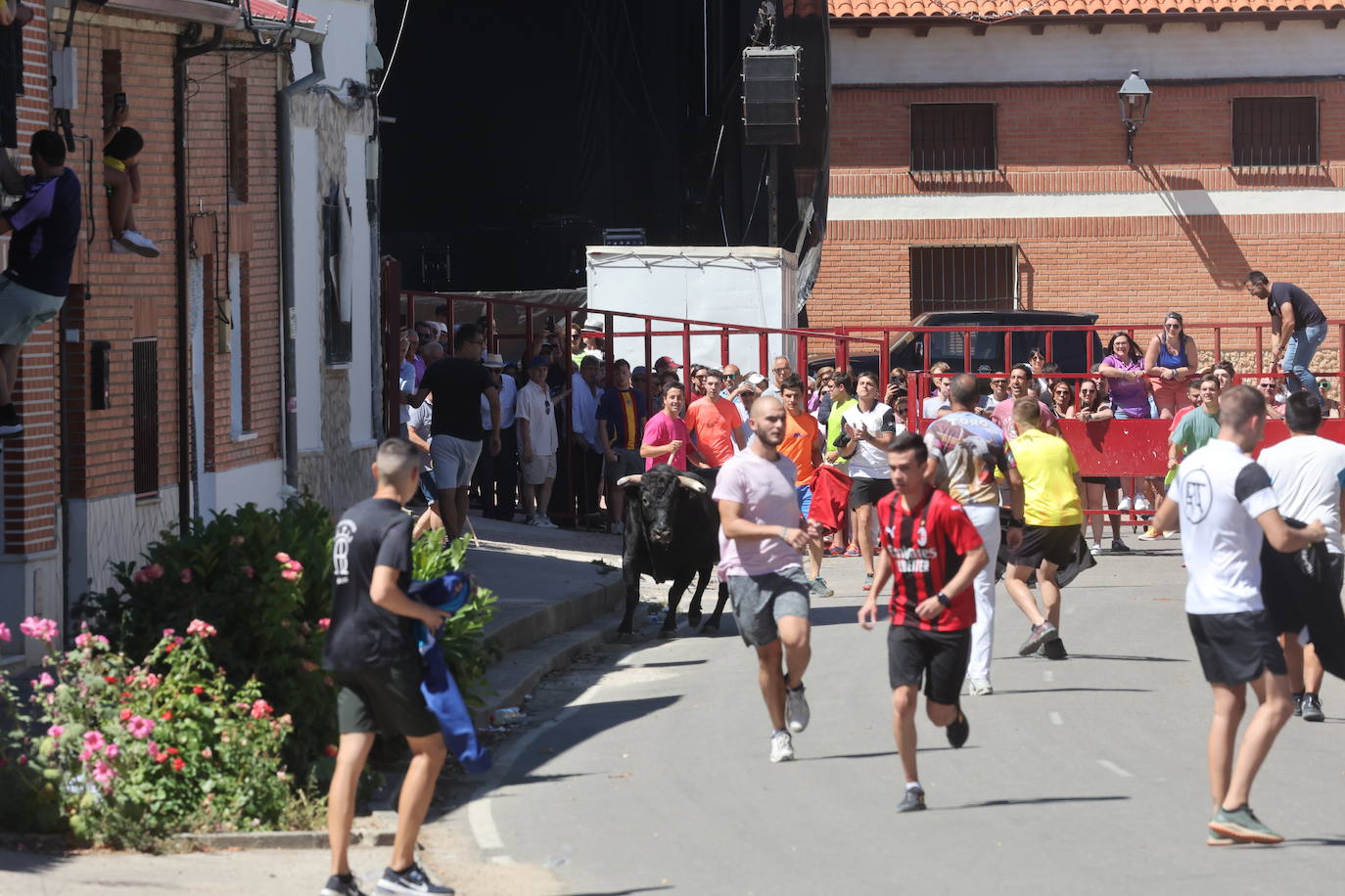 El encierro del Toro de la Bazanca, en imágenes