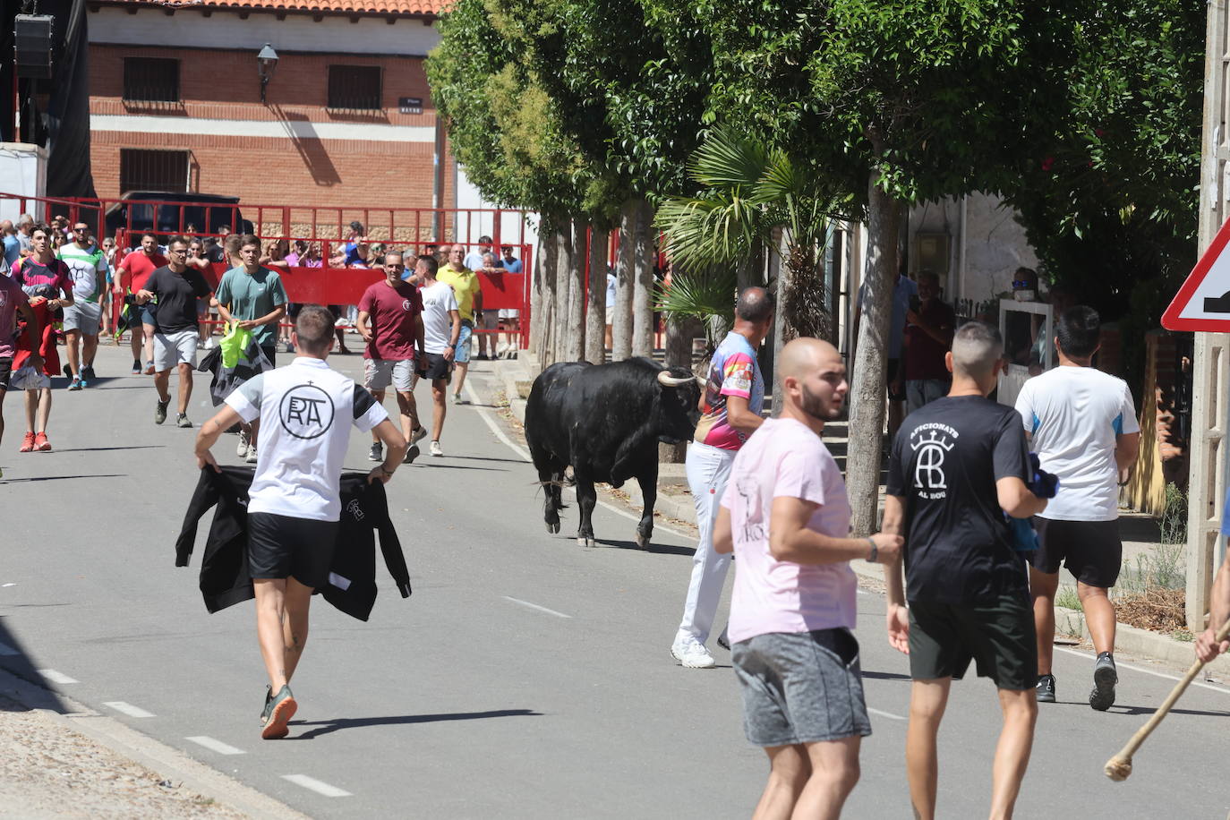 El encierro del Toro de la Bazanca, en imágenes