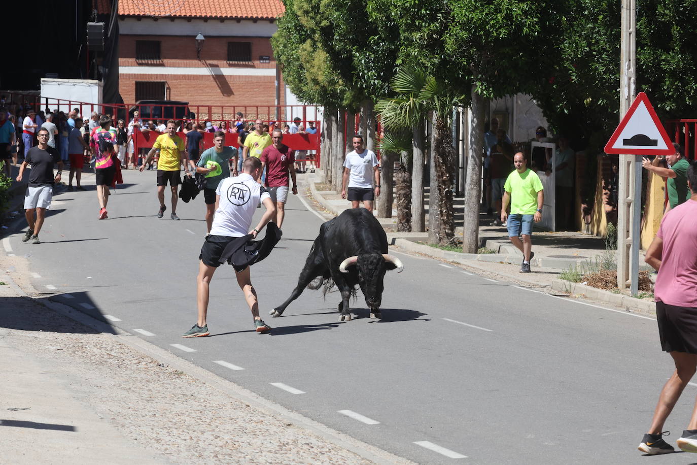 El encierro del Toro de la Bazanca, en imágenes