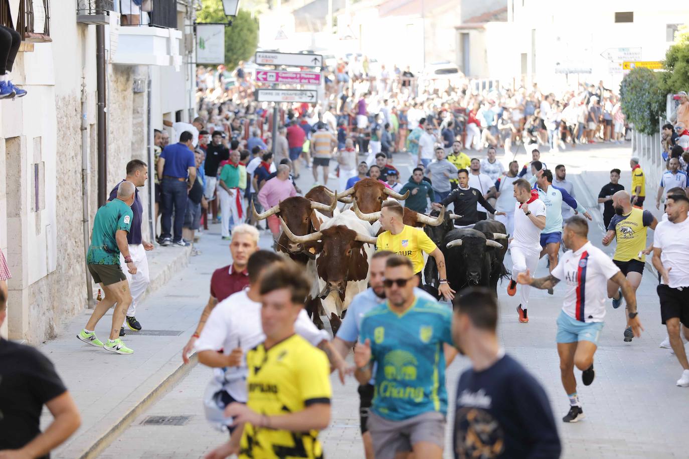 El primer encierro y la capea de Peñafiel, en imágenes