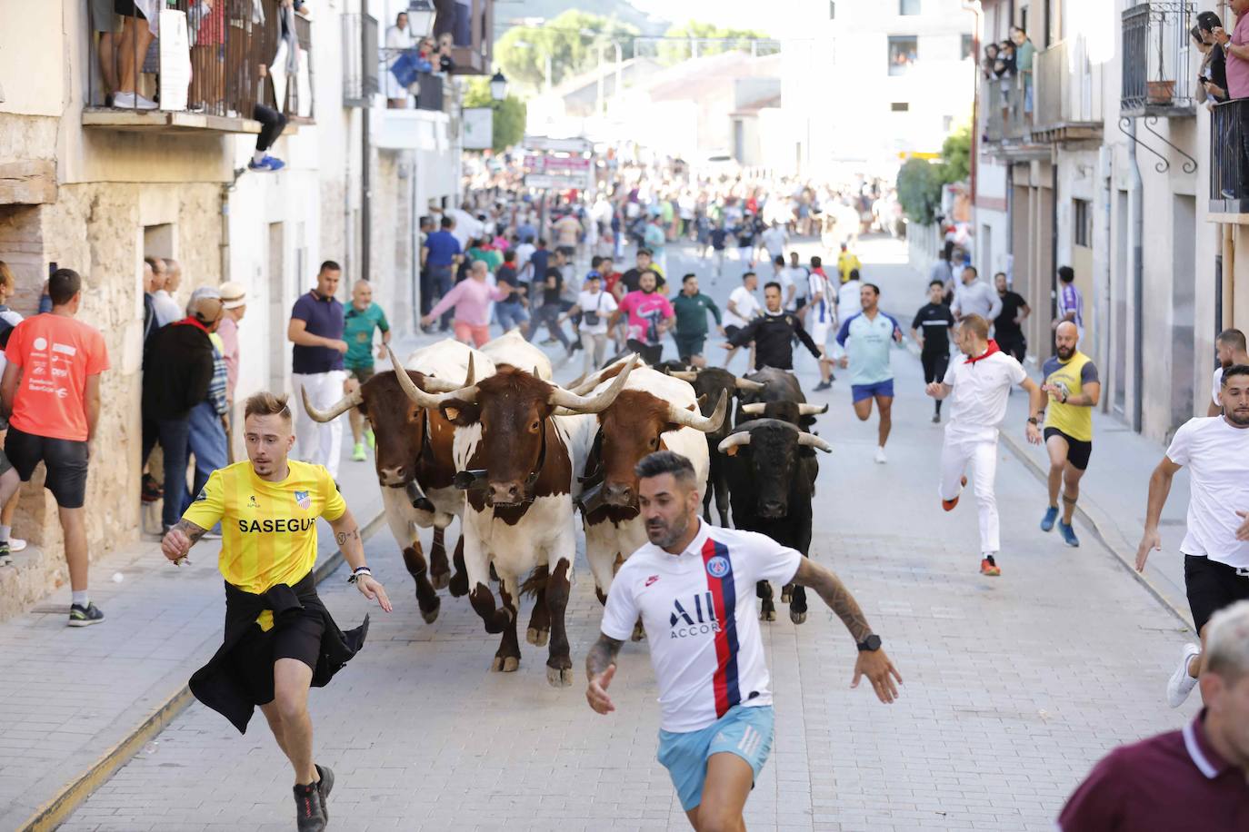 El primer encierro y la capea de Peñafiel, en imágenes