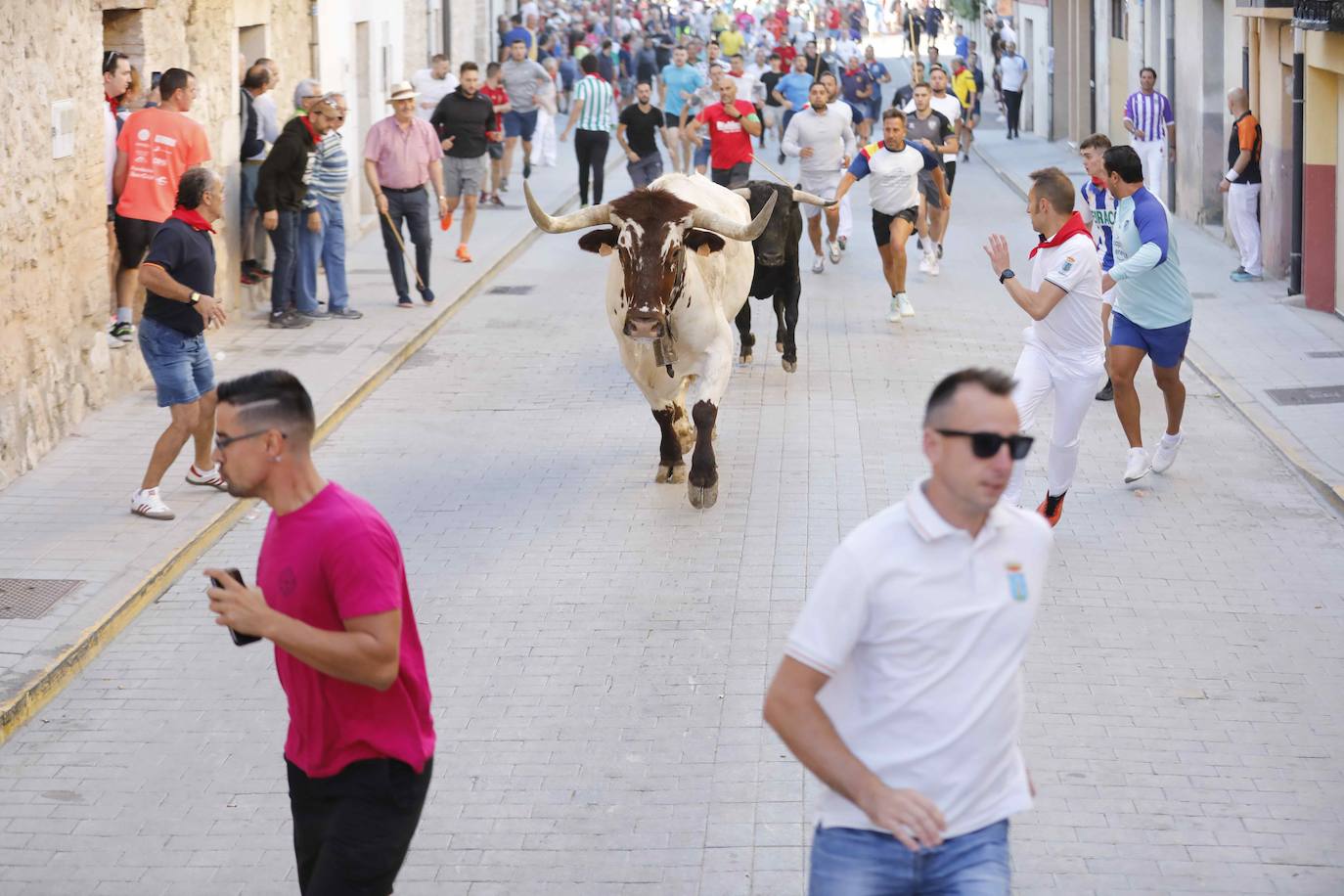 El primer encierro y la capea de Peñafiel, en imágenes