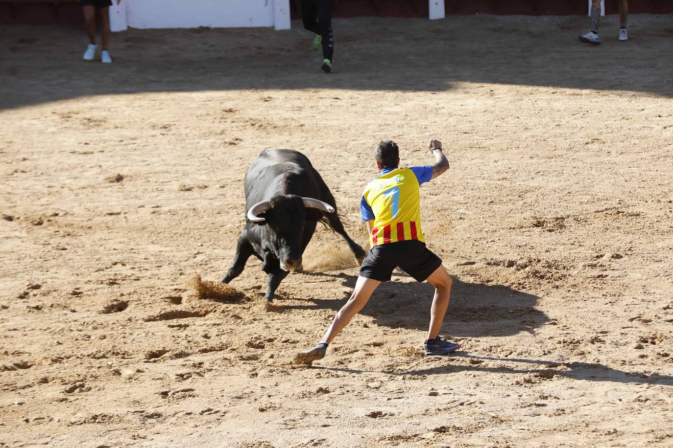 El primer encierro y la capea de Peñafiel, en imágenes