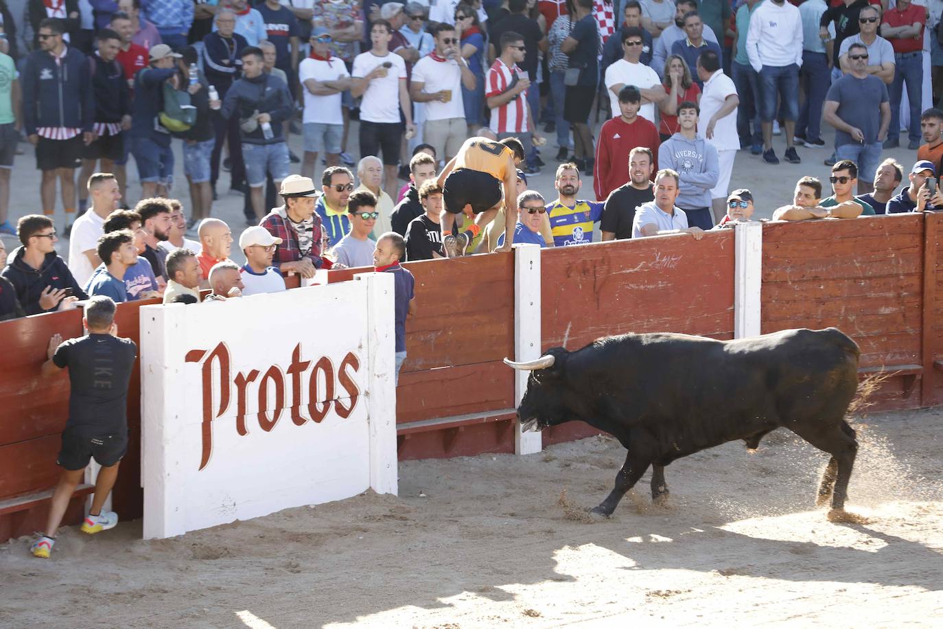 El primer encierro y la capea de Peñafiel, en imágenes