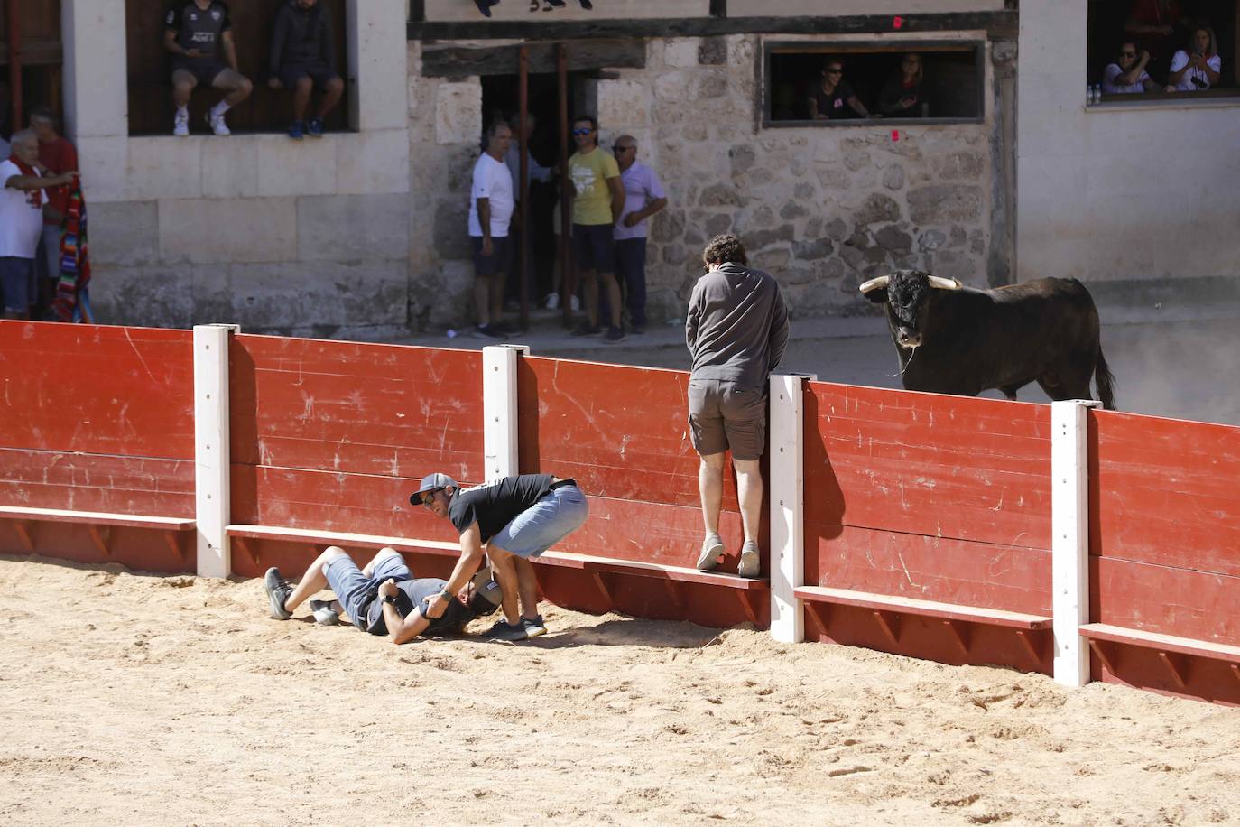 El primer encierro y la capea de Peñafiel, en imágenes