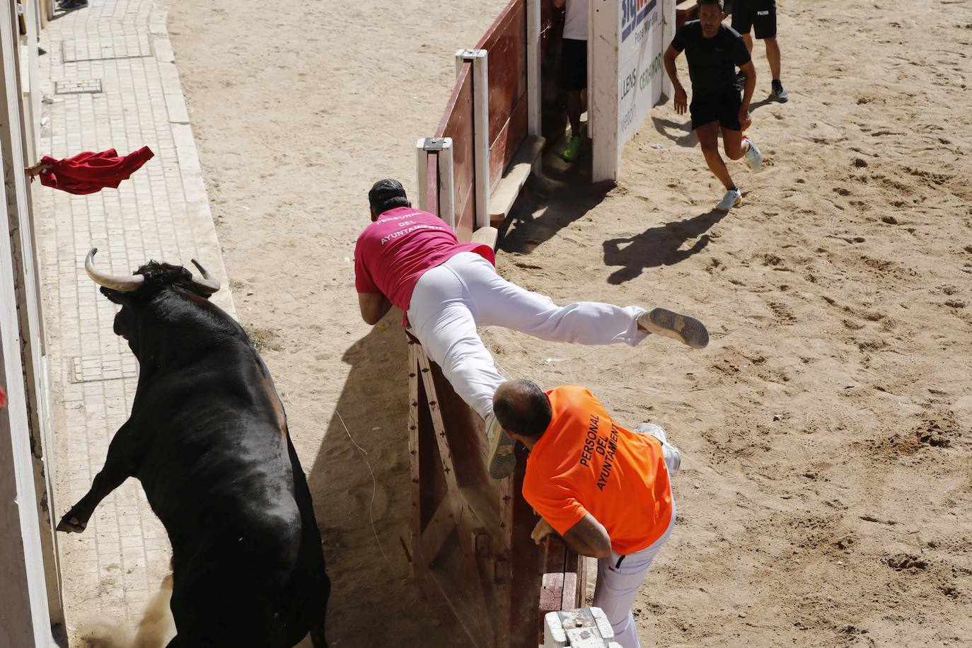 El primer encierro y la capea de Peñafiel, en imágenes