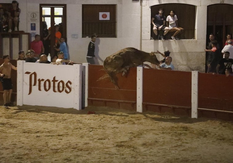 Uno de los toros salta a la parte exterior de la plaza del Coso.