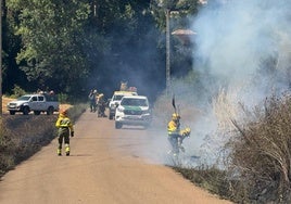 Incendio de tierras agrícolas cerca de Alar del Rey