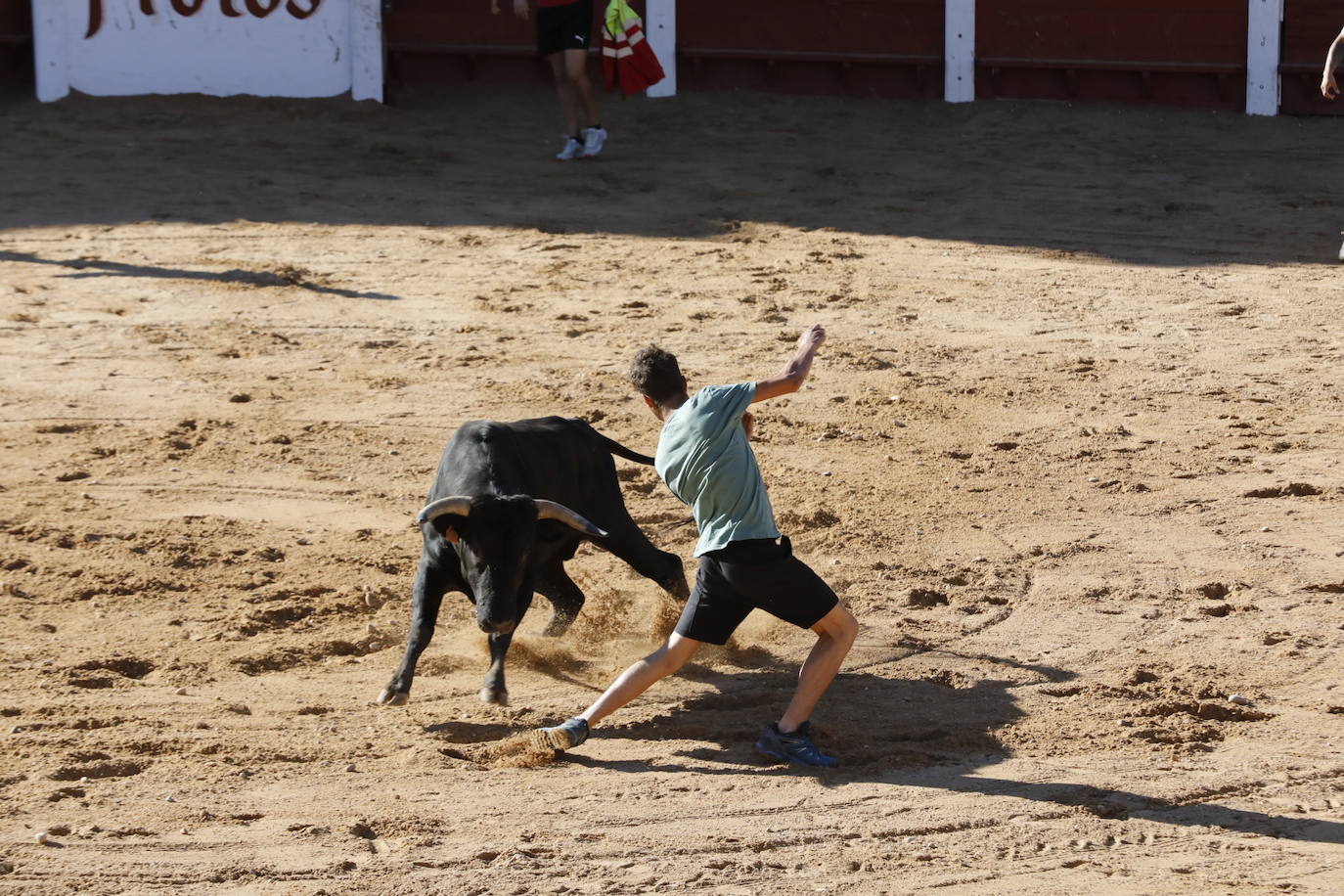 La mañana taurina de Peñafiel, en imágenes