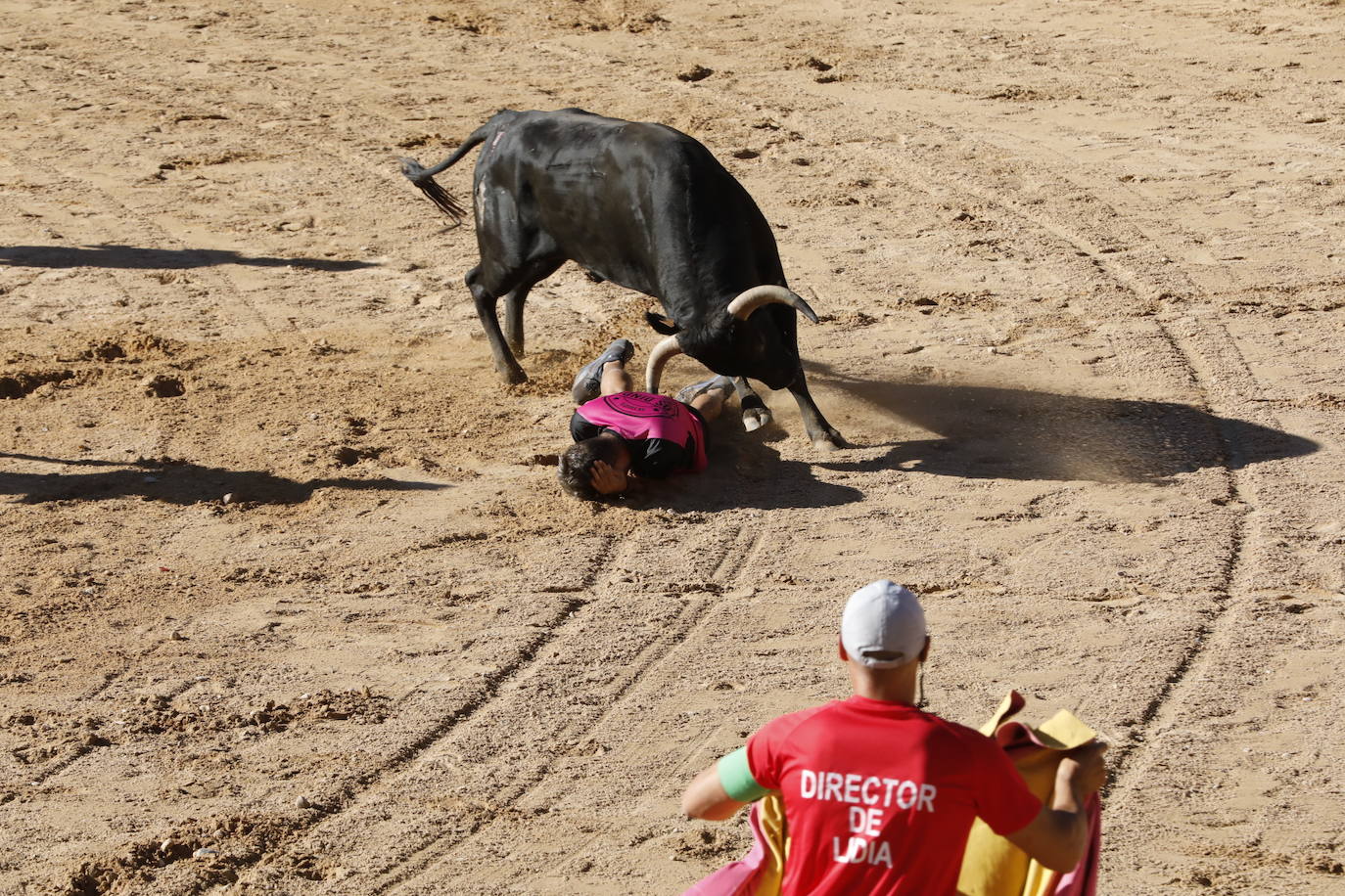 La mañana taurina de Peñafiel, en imágenes