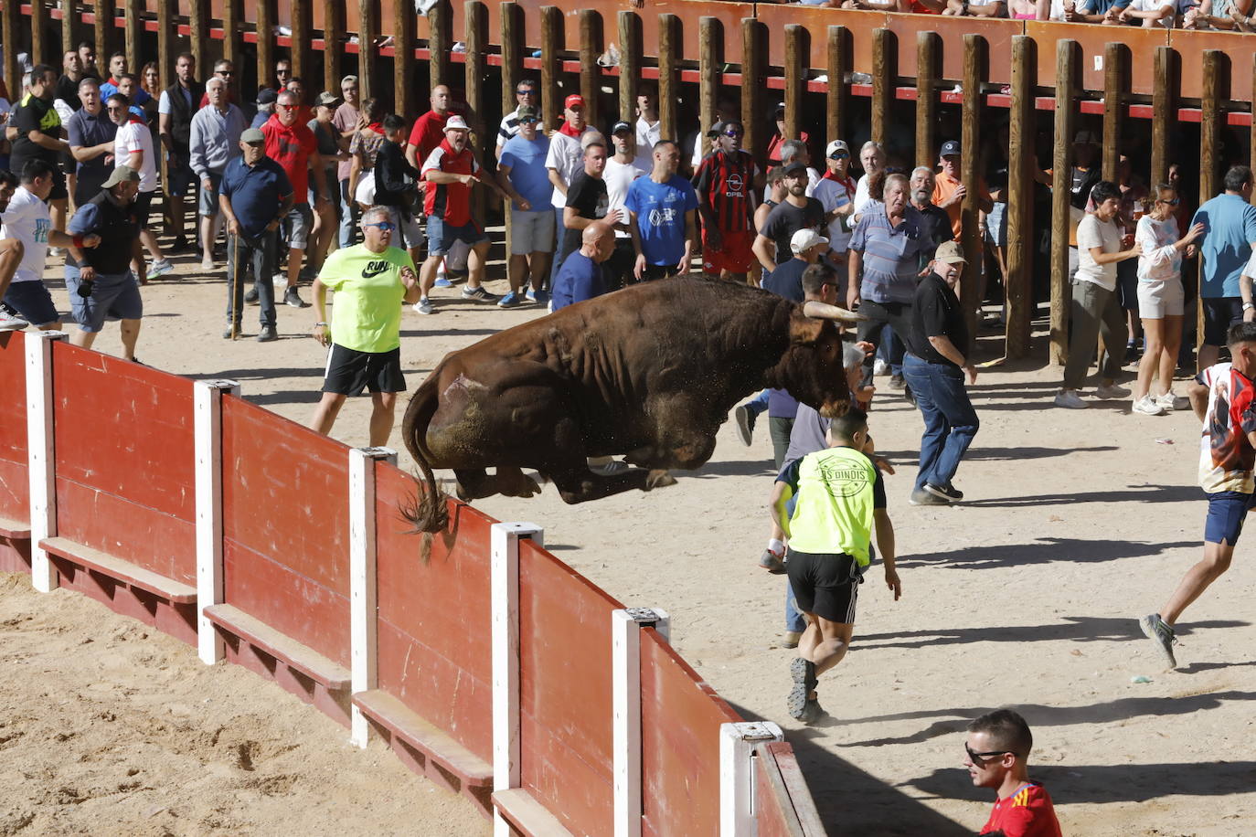 La mañana taurina de Peñafiel, en imágenes