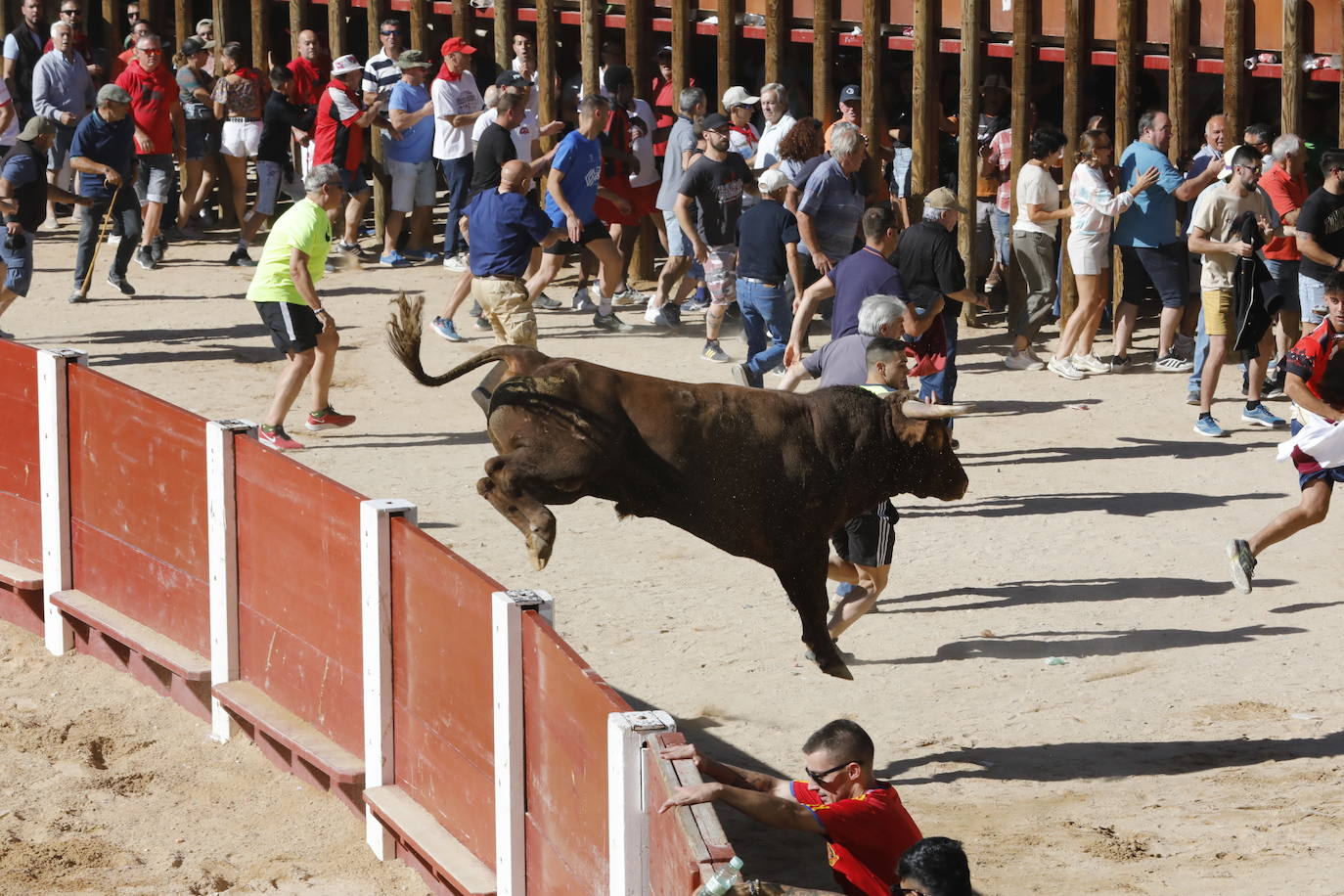 La mañana taurina de Peñafiel, en imágenes