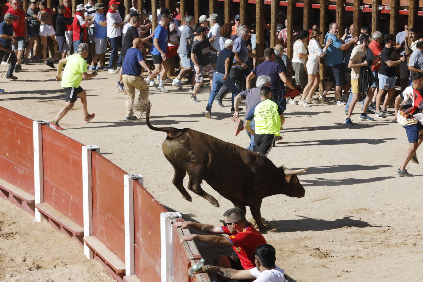 La mañana taurina de Peñafiel, en imágenes