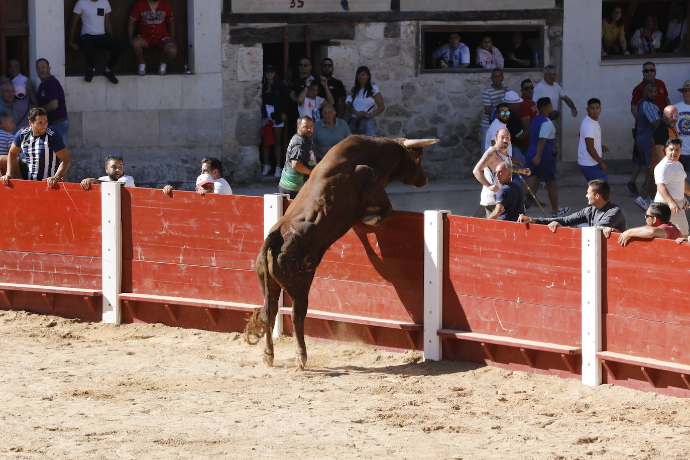 La mañana taurina de Peñafiel, en imágenes