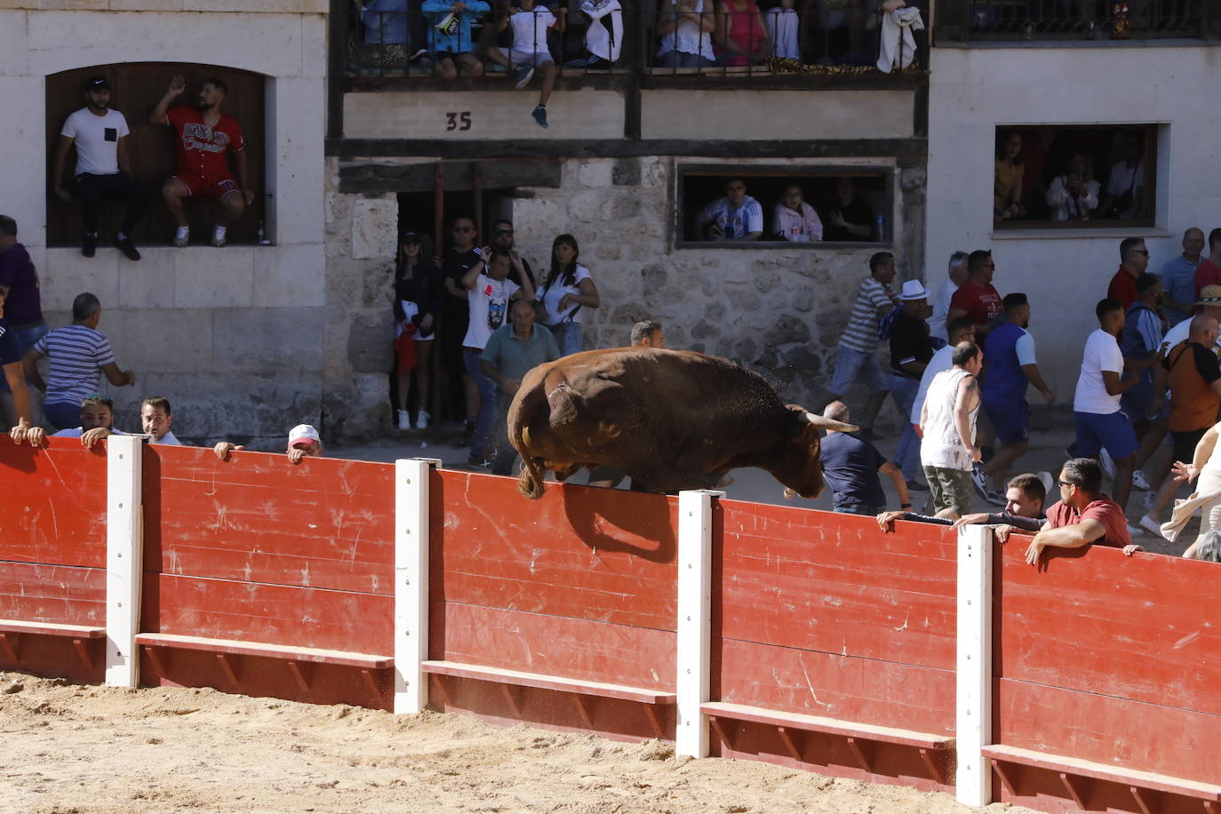 La mañana taurina de Peñafiel, en imágenes