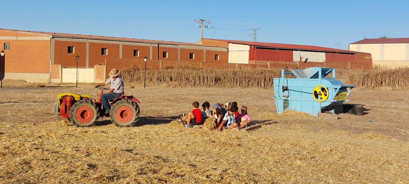 Las imágenes de la recreación de la trilla en Bolaños de Campos