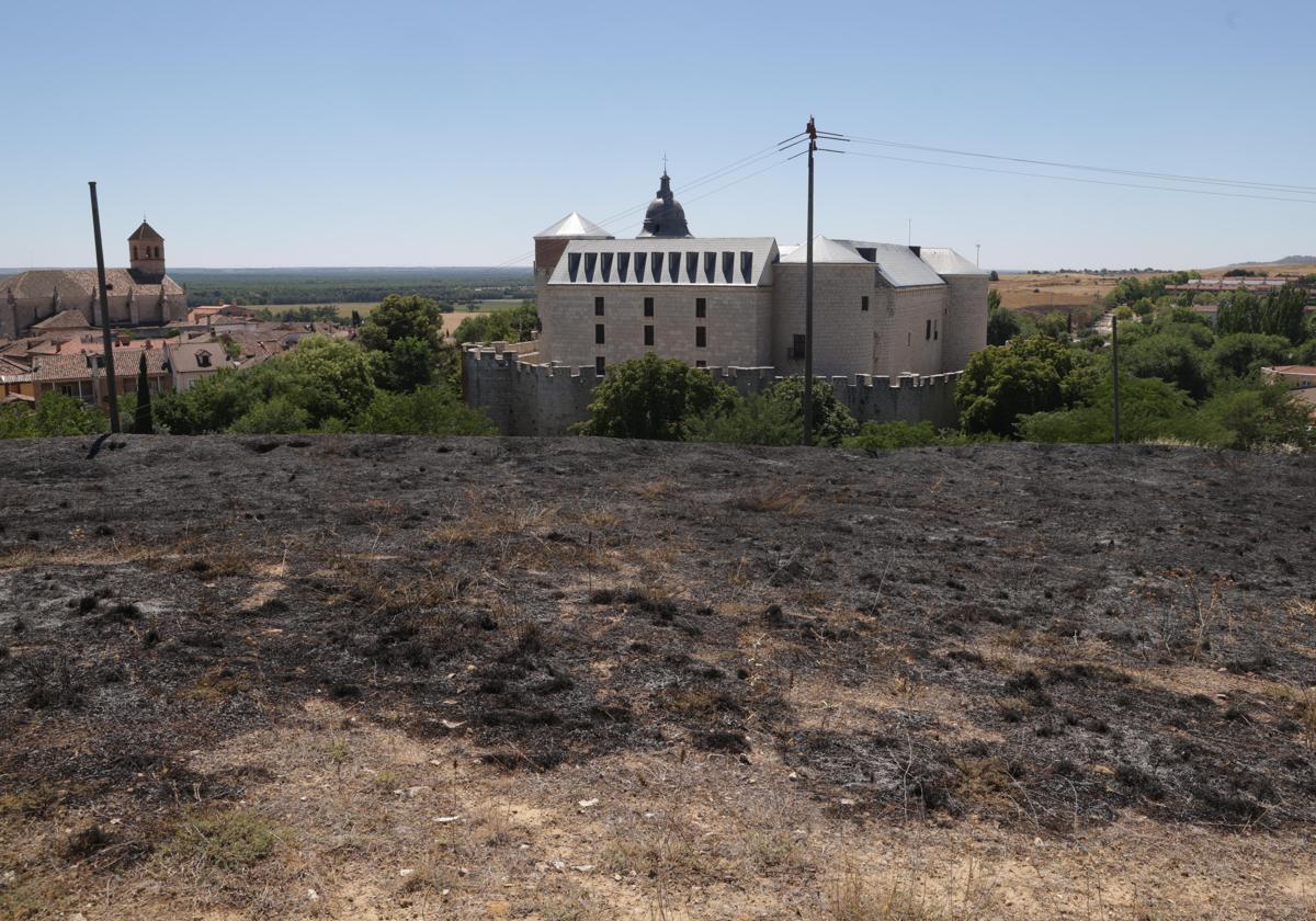 Las llamas han quemado las inmediaciones del Centro de Conservación y Restauración de Bienes Culturales de Castilla y León, en Simancas.