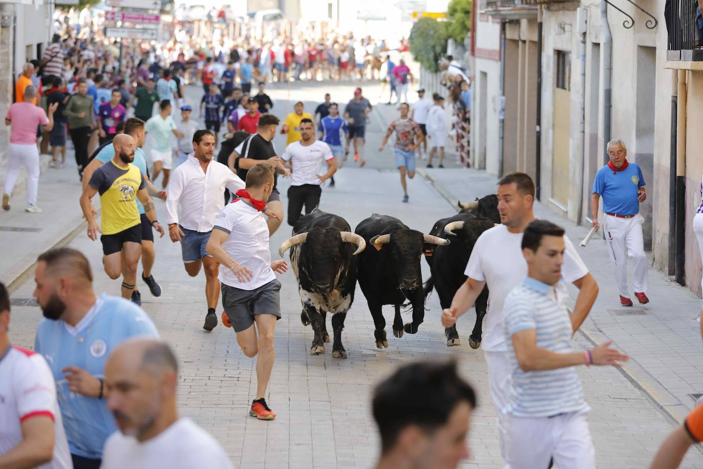 Imágenes de la capea de Peñafiel