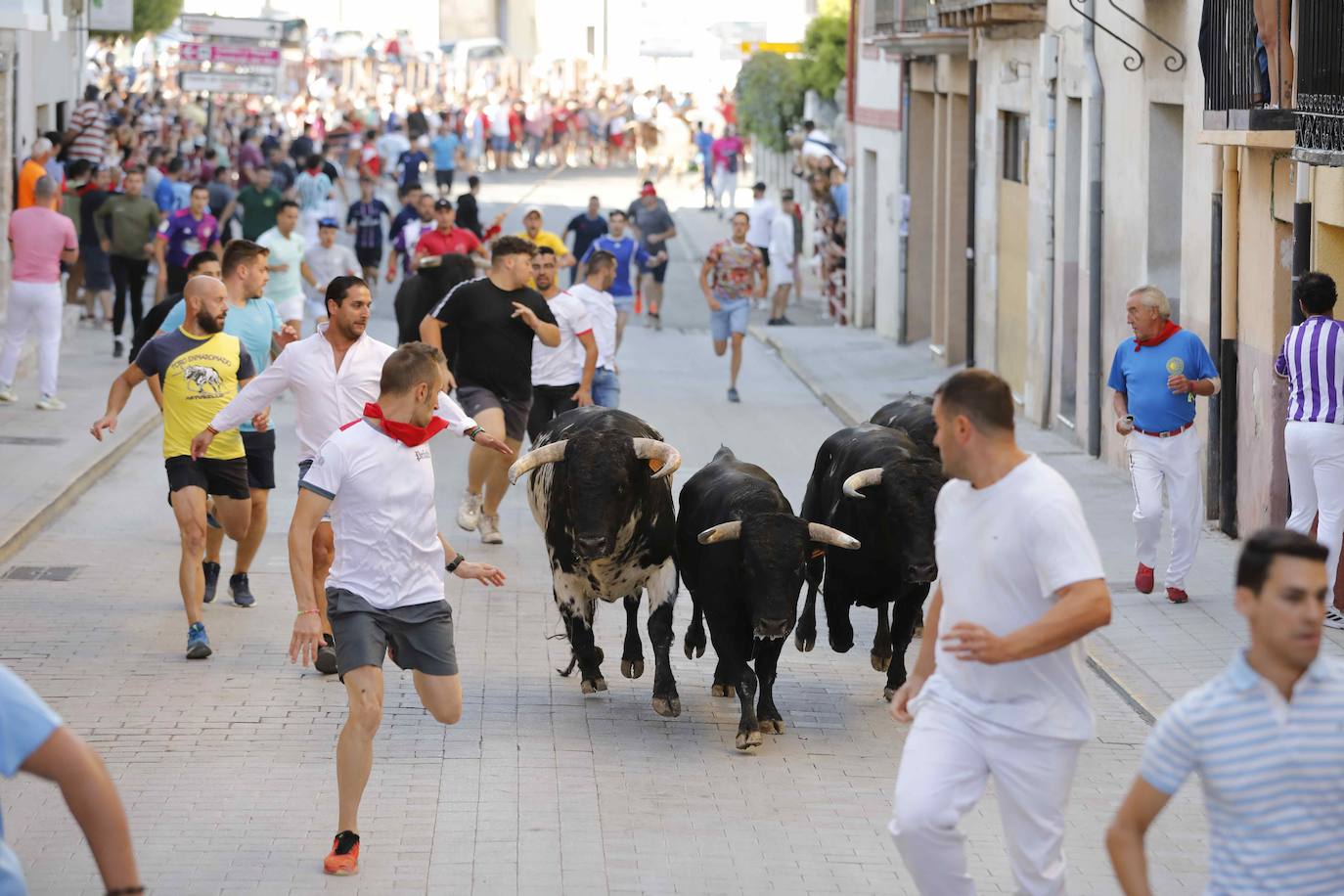 Imágenes de la capea de Peñafiel