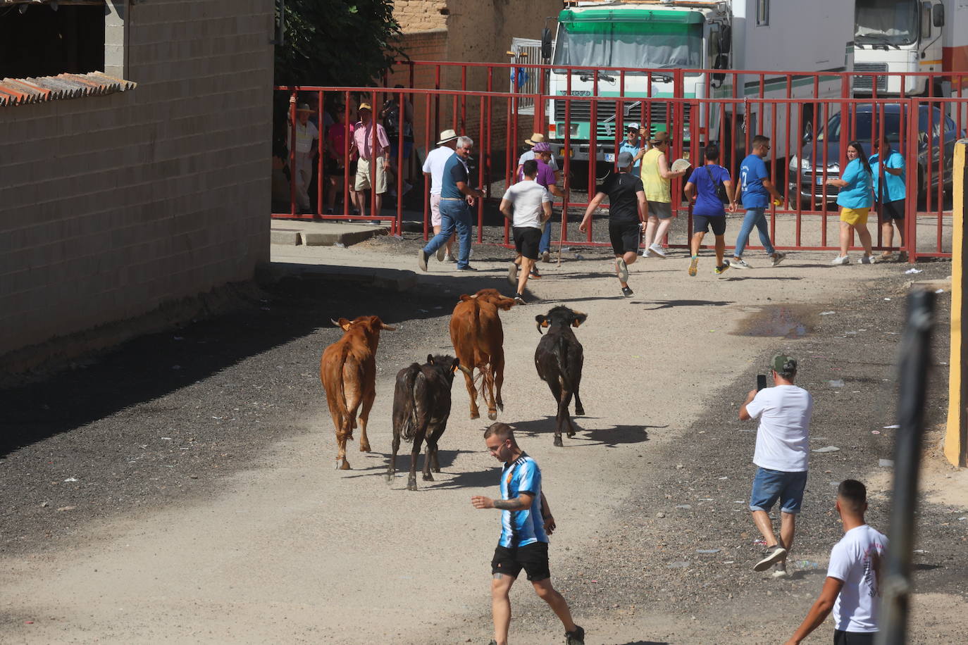 Encierro del sábado en Pollos