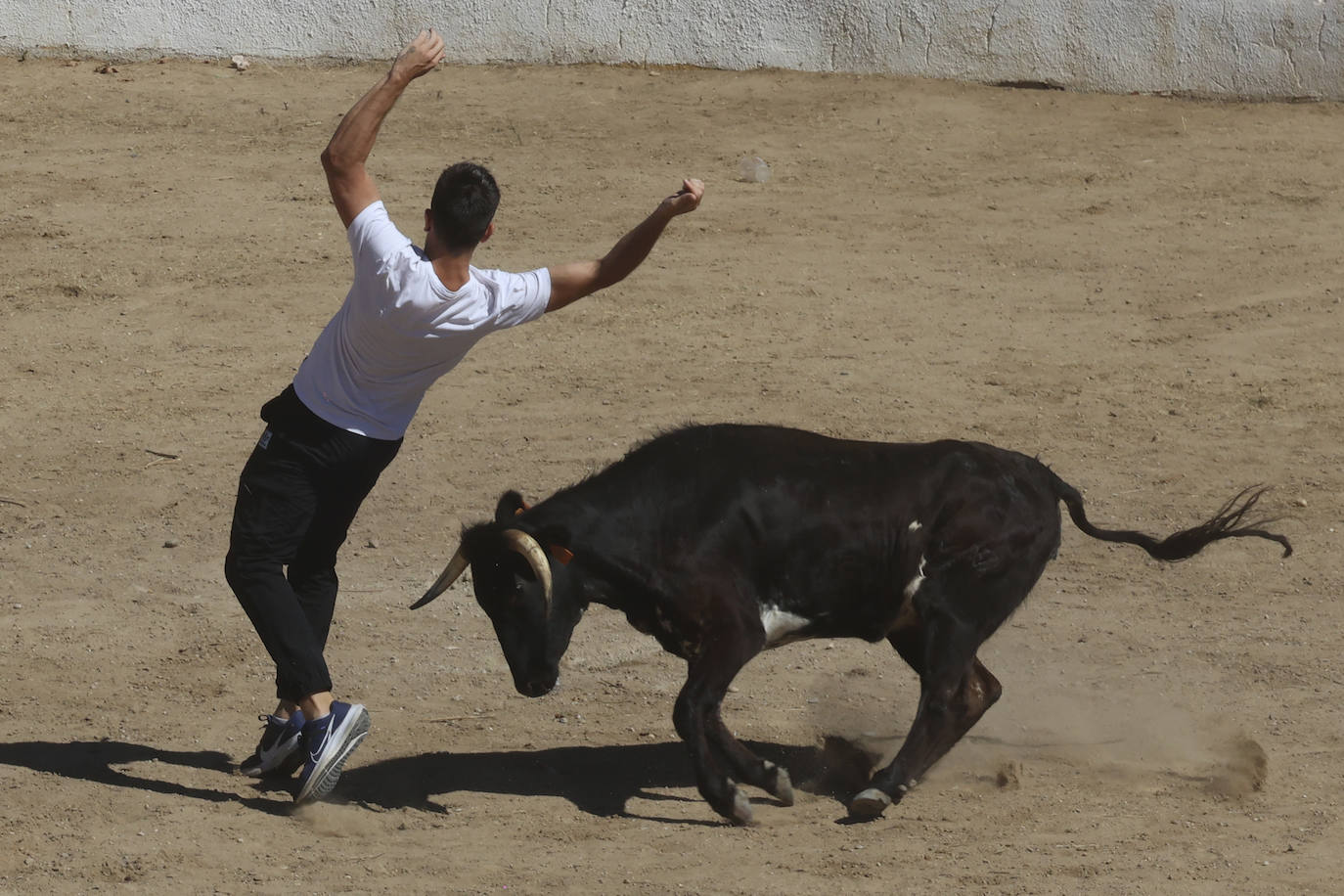 Encierro del sábado en Pollos