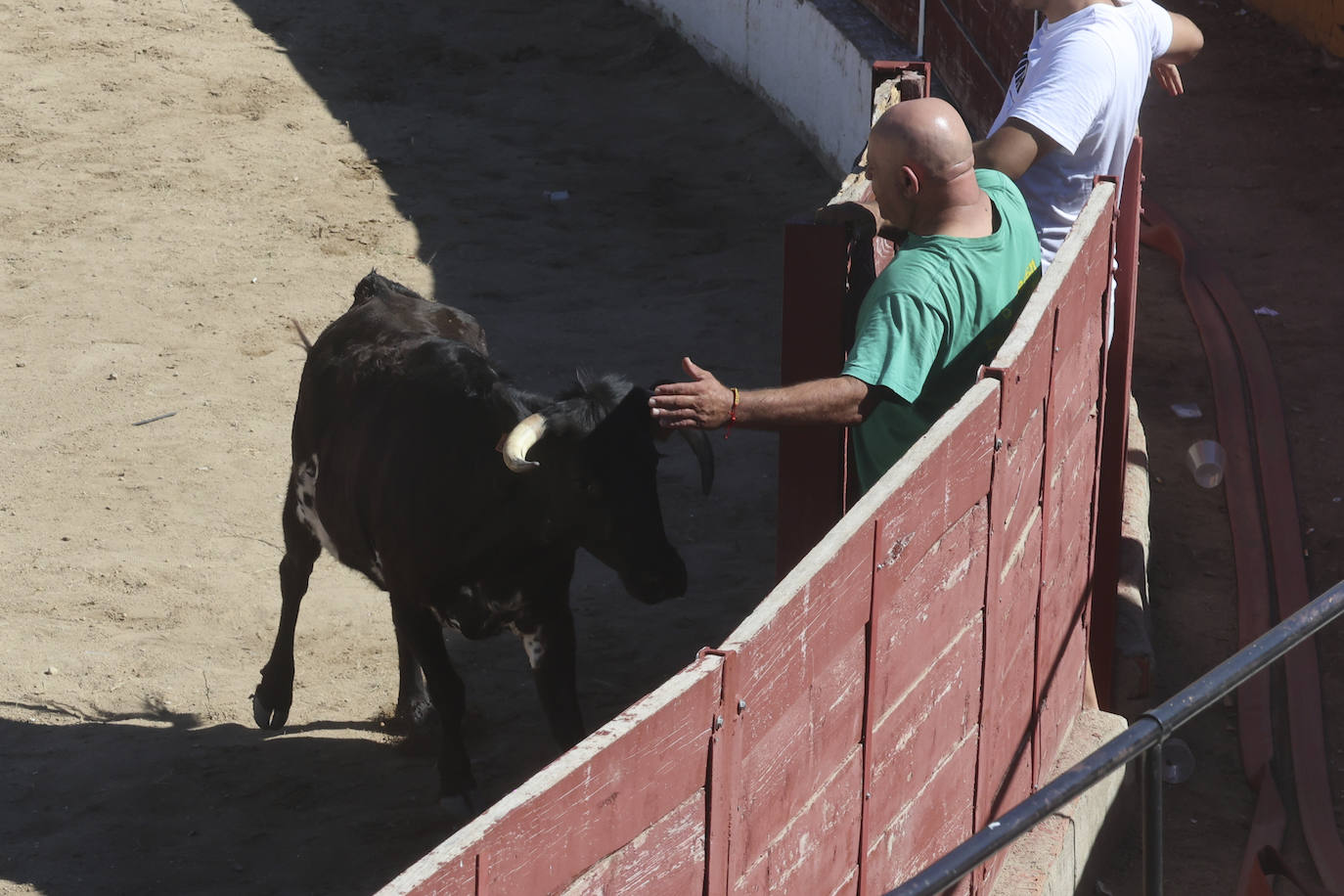 Encierro del sábado en Pollos