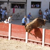 Los arriazu despegan durante la capea matinal de Peñafiel