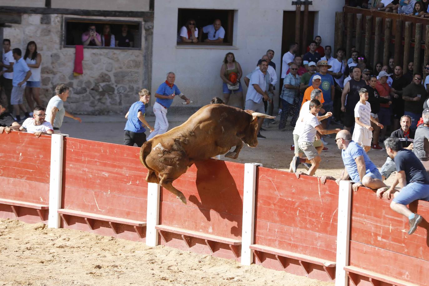 Imágenes de la capea de Peñafiel