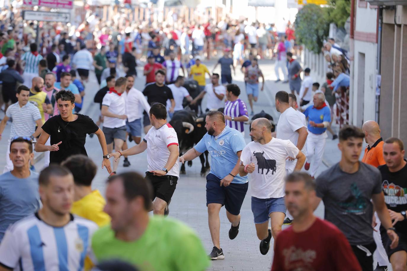 Imágenes de la capea de Peñafiel