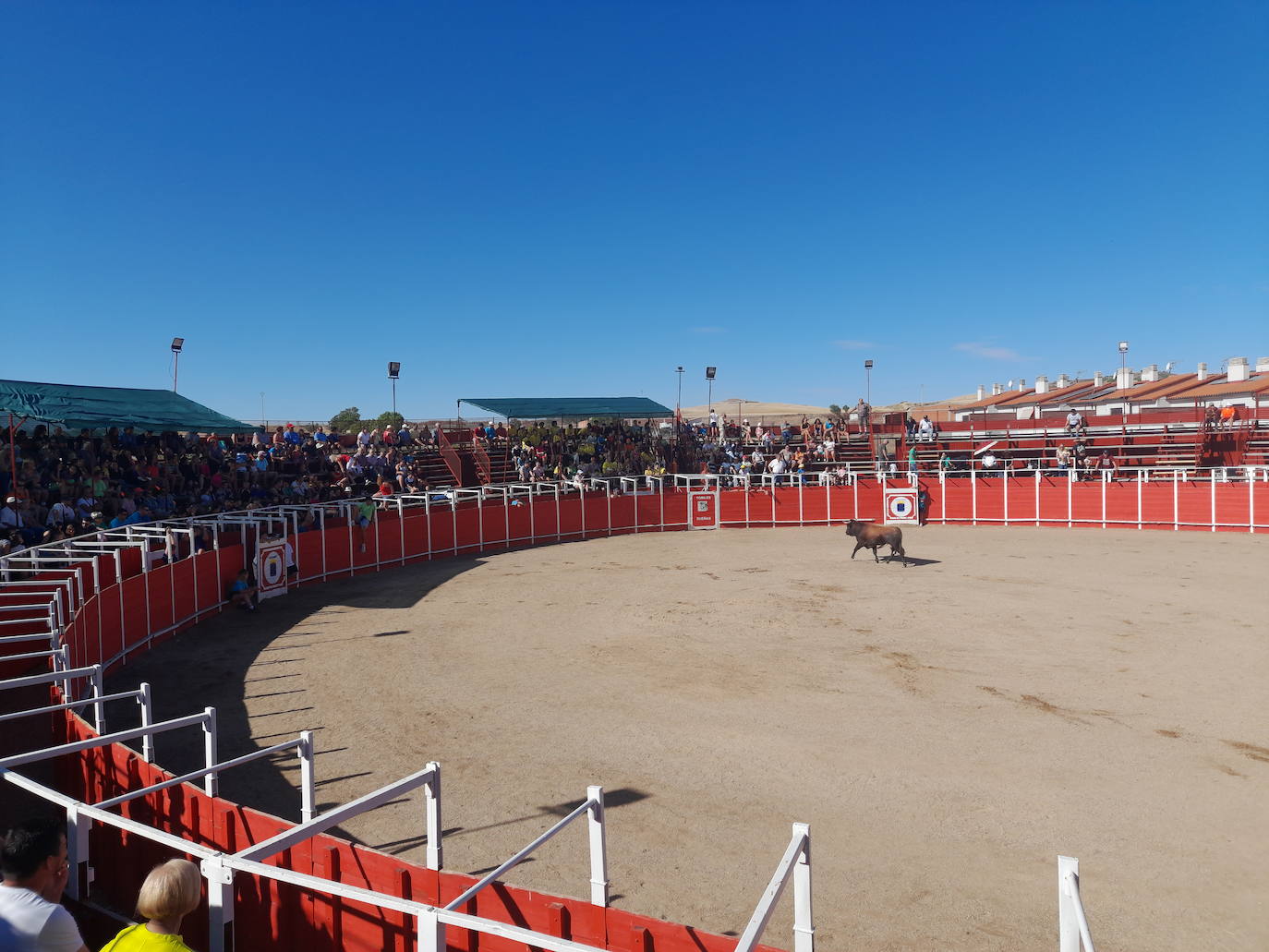 Dueñas vive sus fiestas botijeras