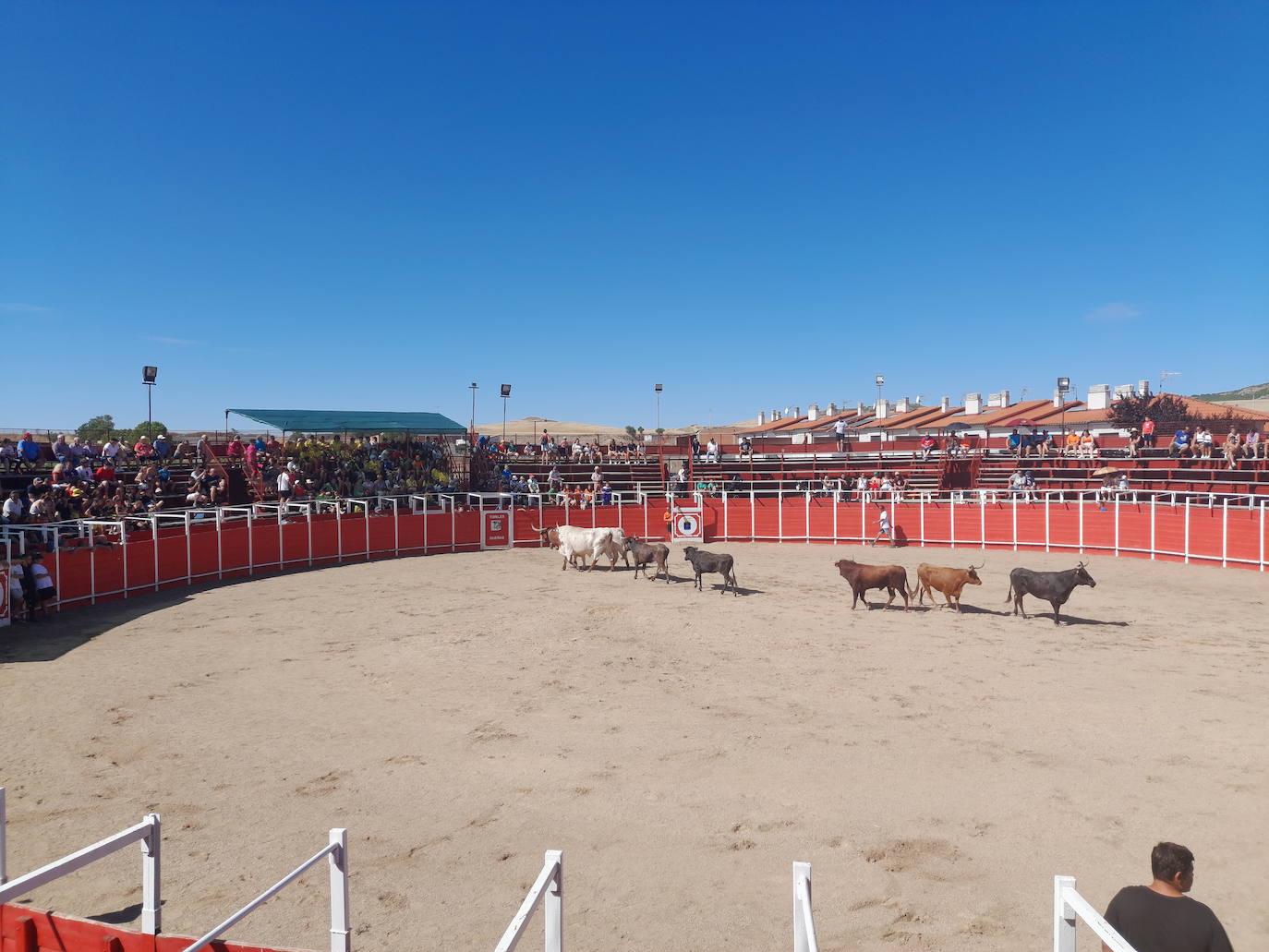 Dueñas vive sus fiestas botijeras